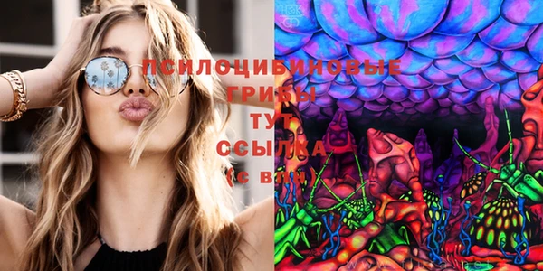 не бодяженный Абаза