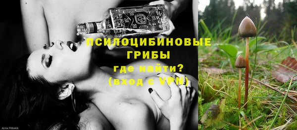 не бодяженный Абаза
