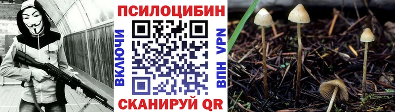 Галлюциногенные грибы Cubensis  Калачинск 